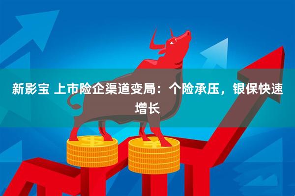 新影宝 上市险企渠道变局：个险承压，银保快速增长