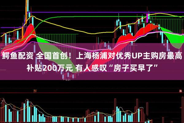 鳄鱼配资 全国首创！上海杨浦对优秀UP主购房最高补贴200万元 有人感叹“房子买早了”