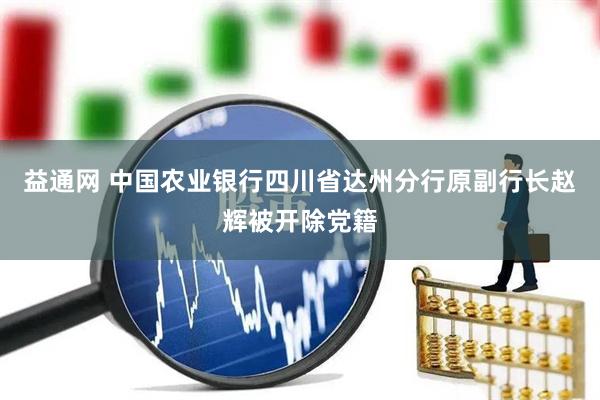 益通网 中国农业银行四川省达州分行原副行长赵辉被开除党籍