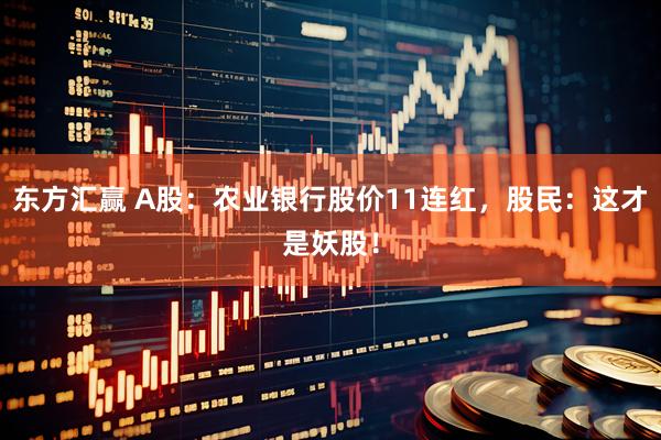 东方汇赢 A股：农业银行股价11连红，股民：这才是妖股！