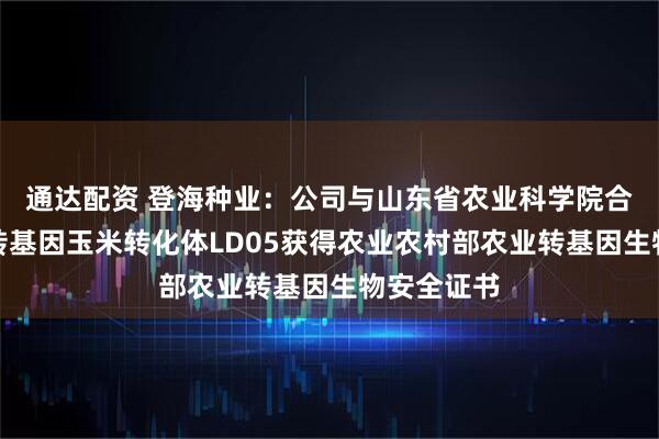通达配资 登海种业：公司与山东省农业科学院合作研发的转基因玉米转化体LD05获得农业农村部农业转基因生物安全证书