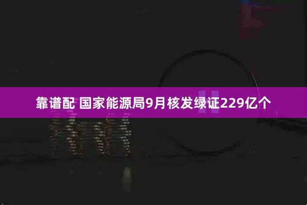 靠谱配 国家能源局9月核发绿证229亿个
